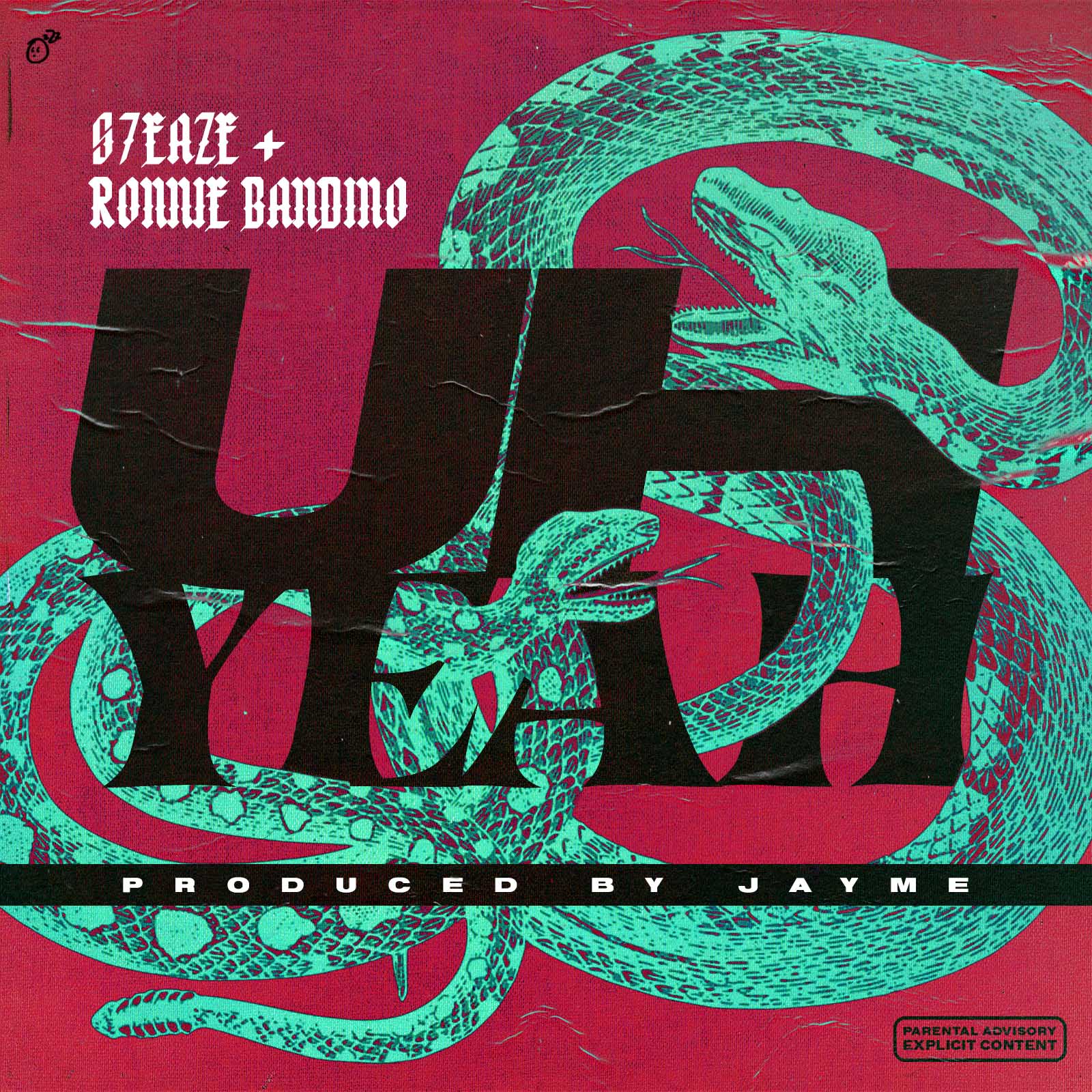 Album Artwork 30